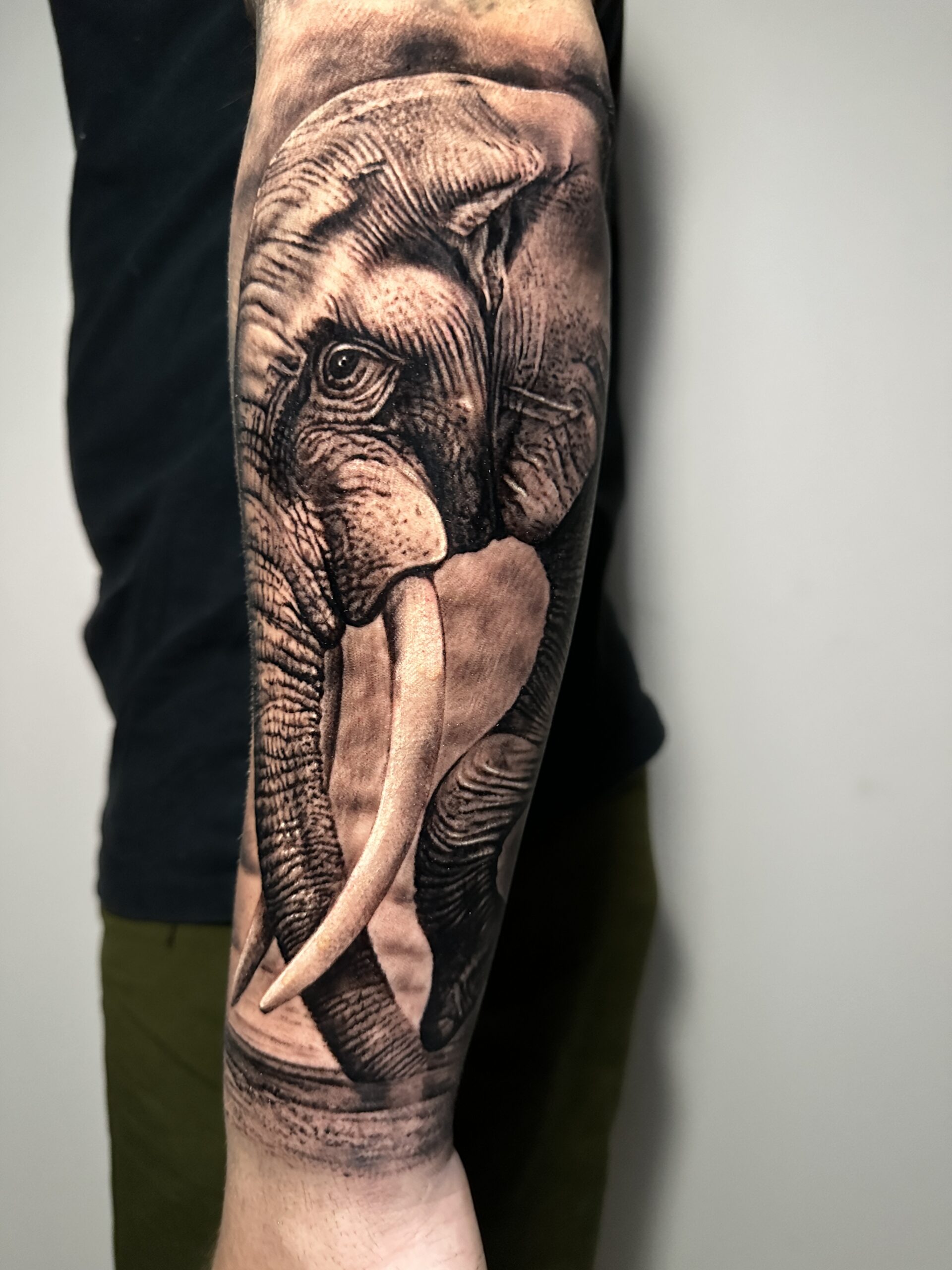 IMG_8527-scaled-1.jpg
